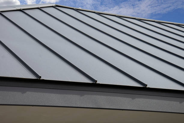 Best Solar Panel Roofing Installation  in West Rson, CA