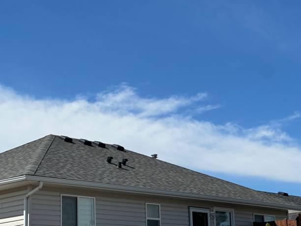 Skylights in West Carson, CA